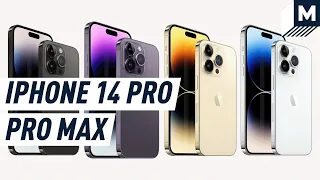 Is the iPhone 14 Pro and Pro Max Worth the Upgrade? | Mashable Reviews