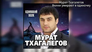 Волки умирают в одиночку - Мурат Тхагалегов (кавер) Николай Туркия