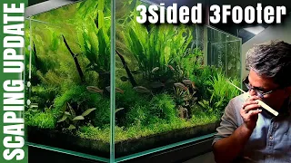 How to make a 90 cm (3ft) 3 side view Nature Aquarium