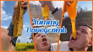 HoneyComb ASMR | ASMR Eating HoneyComb | Best Eating Videos🎖️58