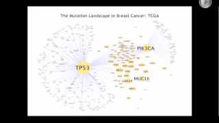 Symposium Series: Dr. Karen Anderson - Breast Cancer Immunotherapy