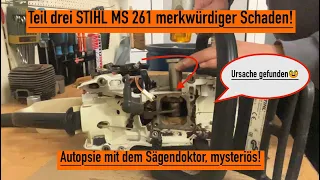 STIHL MS 261 mysteriöser Schaden Teil 3. Wellendichtringe RICHTIG ersetzten #stihl #Sägedoktor