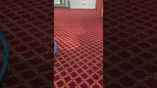 Steam cleaning carpet in the church with the RX 20