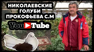 Николаевские голуби Прокофьева С.М. Тел. 8 (905) 018-92-63  Осень 🍂 1 часть