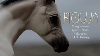 Kiowa || Model Horse Short Film || Reflections Entry 15/16 DISTRICT WINNER