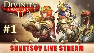 Прохождение Divinity Original Sin 2 (Часть 1) | Корабль | Прохождение на русском языке