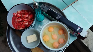 egg with tomato in backyard. Яичница с помидорами. Pomidor yumurta