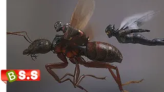 Ant-Man and the Wasp Explained