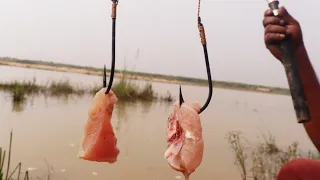 Fishing Video🐠 || The village boy catching a giant fish using the right food || Amazing hook fishing