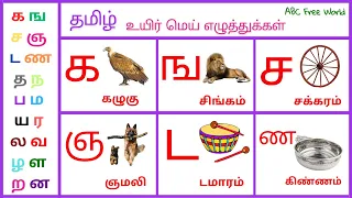 தமிழ் | உயிர் மெய் எழுத்துக்கள் | க ங ச ஞ ட ண த ந ப ம ய ர ல வ ழ ள ற ன | ABC Free World Channel