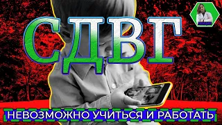 СДВГ. Почему ЛЕНЬ УЧИТЬСЯ и РАБОТАТЬ? Нейробиолог, учёный, врач - Владимир АЛИПОВ. Большая лекция.