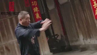 南少林宗鶴拳（上）：主要特點為「宗身發力」，最出名的五位弟子被稱為「八閩五虎將」！ #fujian #非遺文化