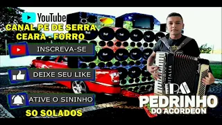 PEDRINHO DO ACORDEON SO SOLADOS