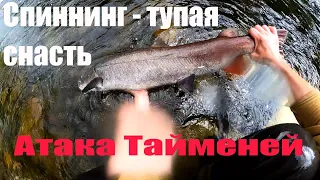 Жёсткие  поклёвки Тайменей в реальном времени | Таймень на мыша днём