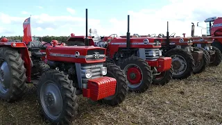 Massey Ferguson 148, 178, 188 & 1080 4WD Special Tractor out working in the field | DK Agriculture