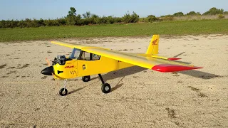 Rc plane with motor Honda GX35