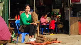 Help Duong take care of Pets, harvest wild tubers and bring them to the market to sell and garden