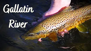 Fly Fishing Trip to the Scenic Gallatin River!