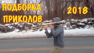 COUB лучшее приколы за январь 2018 часть 1   coub best