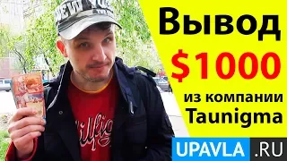 Taunigma | Лежу на Диване и Получаю Пассивный Доход уже 4 года! Таунигма!