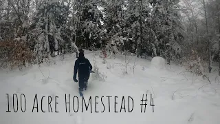 Marking our future build site | 100 Acre Homestead #4