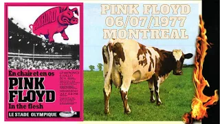 Pink Floyd Full Concert Stade Du Parc Olympique, Montreal, Quebec, Canada