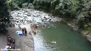 Puente Roto Rio Mameyes El Yunque