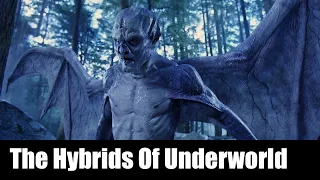 The Hybrids And Immortals From Underworld