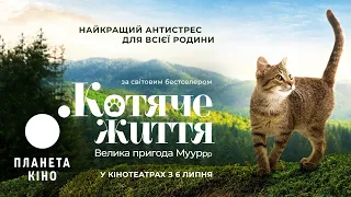 Котяче життя. Велика пригода Муурр - офіційний трейлер (український)