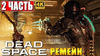 ПРОХОЖДЕНИЕ DEAD SPACE REMAKE (2023) [4K] ➤ Часть 2 ➤ На Русском ➤ Дэд Спейс на ПК RTX 4090