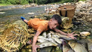 VIDEO FULL:135 days orphan boy khai set traps to catch fish, harvested agricultural products to sell
