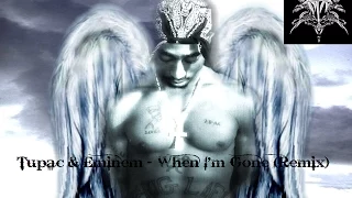 Eminem & Tupac - When I'm Gone (Remix)