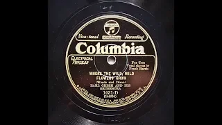 Where The Wild Wild Flowers Grow - Earl Gresh and His Orchestra (1927)