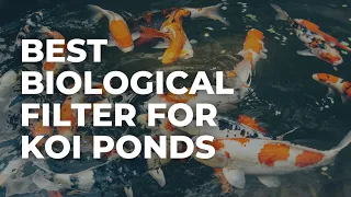 Best Biological Filter for Koi Ponds (Matala Koi Clear Filter)