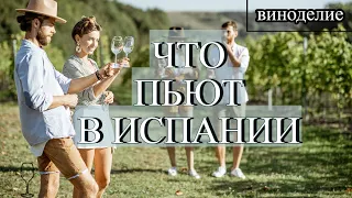 КАВА CAVA Часть 3 Откуда произошло название и как выбрать винодельню