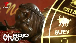 Astróloga revela las predicciones del Año del Buey para cada signo en el horóscopo chino