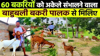 🐐60 बकरियों को अकेले संभालने वाला सीतामढ़ी के एक बाहुबली GOAT FARMER से मिलिए😇AMAZING GOAT FARMING