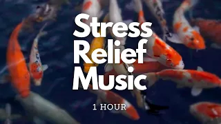 1 Hour Relaxing Music For Stress Relief | Peaceful Koi Fish Pond Ambience