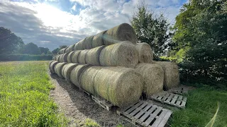 Farmvlog #207 | Ich wurde bestohlen - 500€ Belohnung ausgeschrieben