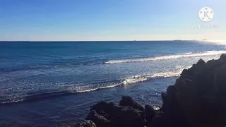 Cottesloe beach in Perth Australia