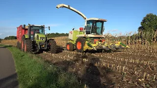 Mais hakselen door loonbedrijf Mollink met Claas Jaguar 860 en 2 Claas Ares trekkers (2022)