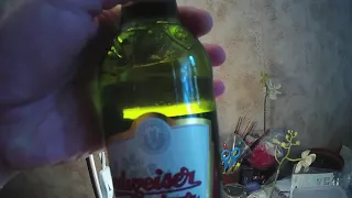 Пиво Будвайзер Budweiser Будвейсер