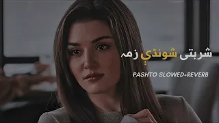 Sharbati Shonday Zama [ Slowed+Reverb ] Pashto New Song | Pakhtoon Writes | Pashto | Song