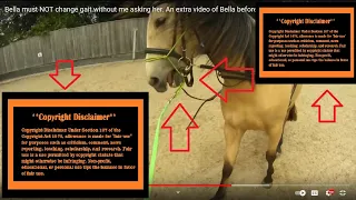 Re-upload Of Bella Lunging - Review | ~ THIS IS FAIR USE