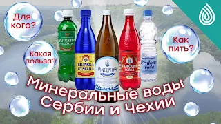 Столовые и лечебно-столовые воды Сербии и Чехии: кому, как и зачем пить?