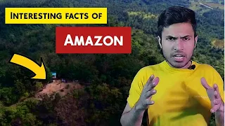 Interesting Facts About Amazon Rainforest | Ferozee