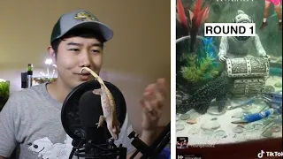 the MORE you look the WORSE IT GETS (TikTok) | Fish Tank Review 89