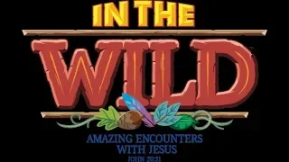 VBS In The Wild 2019