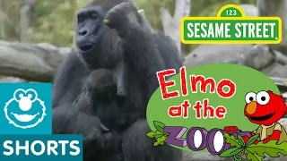 Elmo Visits the Zoo (Elmo at the Zoo #1)