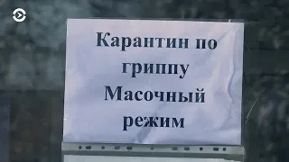 Азия: кто пытается нажиться на панике из-за вируса